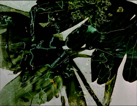 image missing