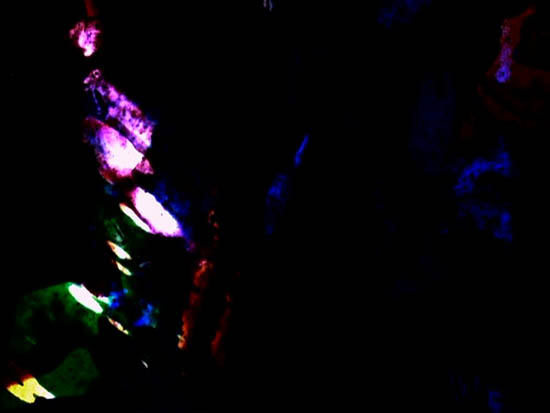 image missing