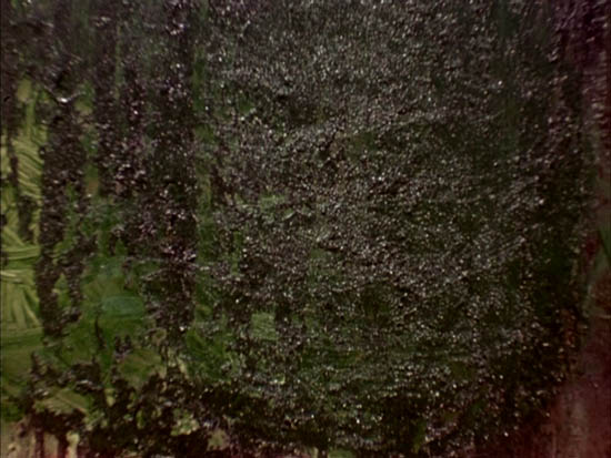 image missing